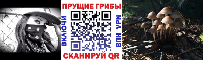 закладки  Черемхово  Галлюциногенные грибы мухоморы 