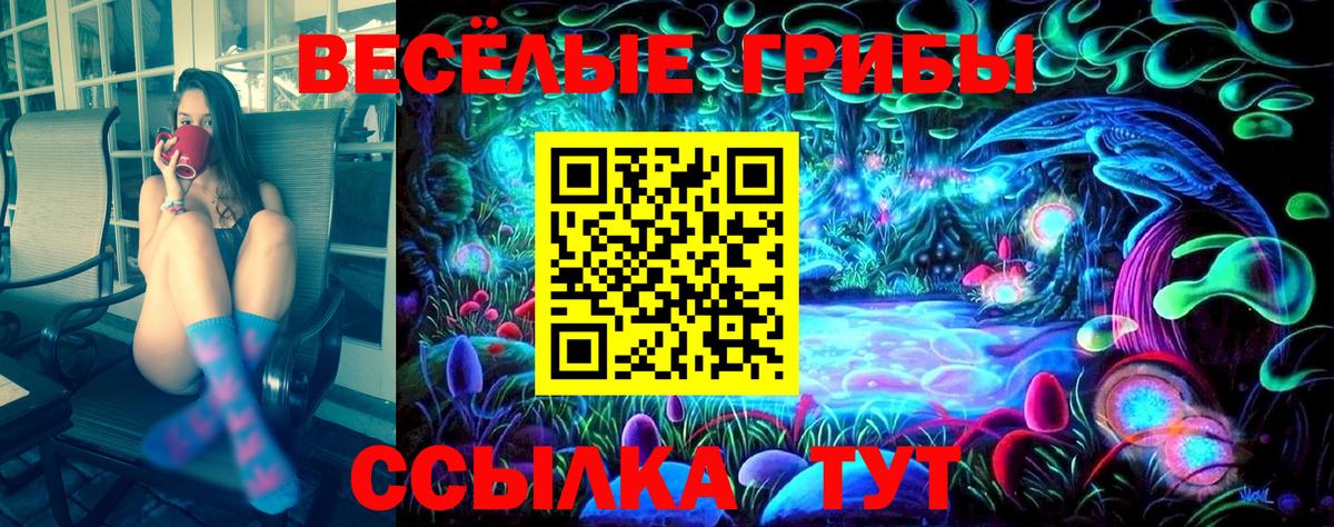 Черемхово  купить  сайты  Вход с VPN  Галлюциногенные грибы Psilocybe 