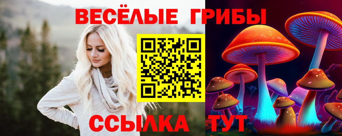 Псилоцибиновые грибы ЛСД Черемхово